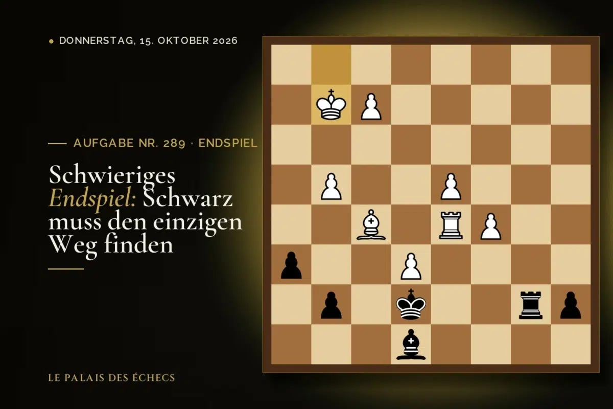 Stellung der Schachaufgabe Nr. 289: Schwarz zieht und gewinnt