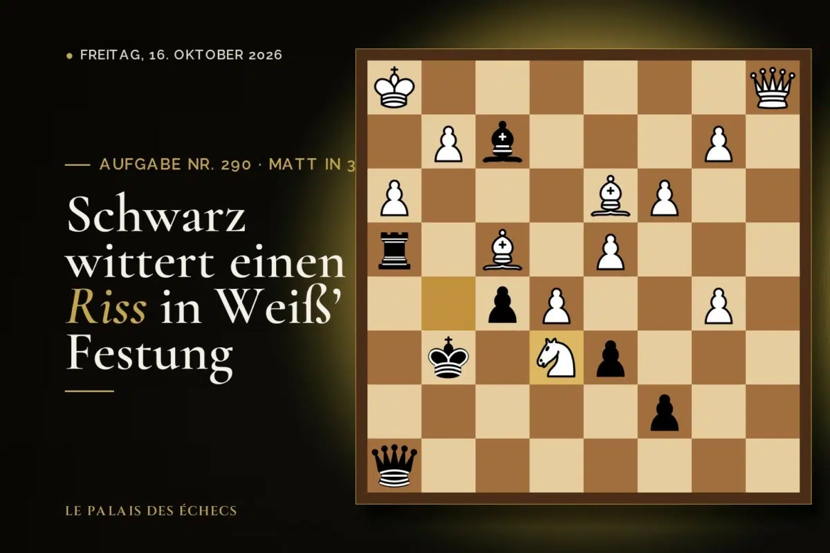 Stellung der Schachaufgabe Nr. 290: Schwarz zieht und setzt in 3 matt